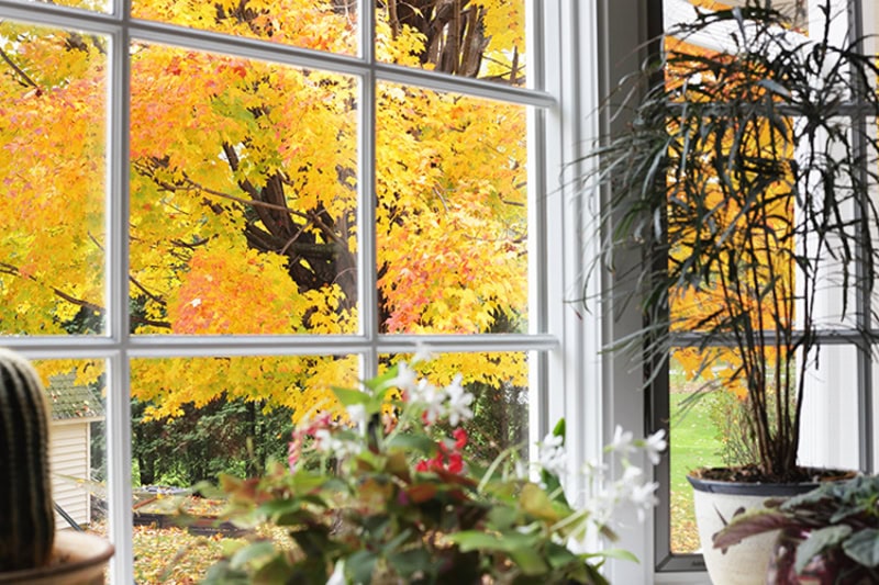 5 Tips to Improve Your Indoor Air Quality This Fall. Photo of a kitchen or living room window overlooking an autumn outdoor view.